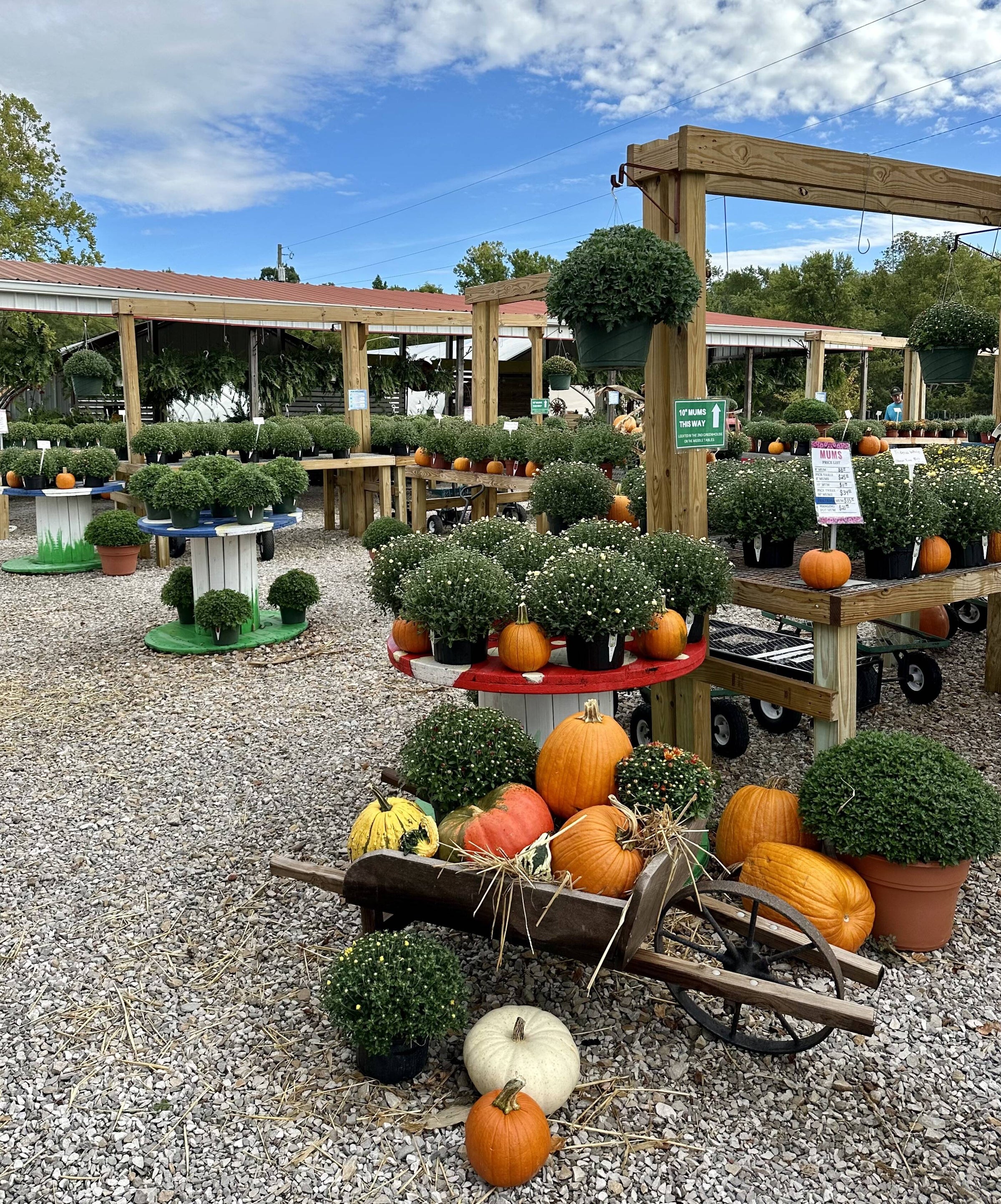Garden Center | VIP Foliage & Landscaping